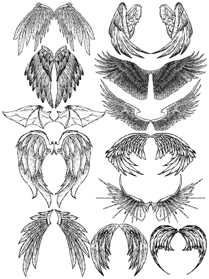 Hand Drawn Wings Vector and Photoshop Brush Pack-01