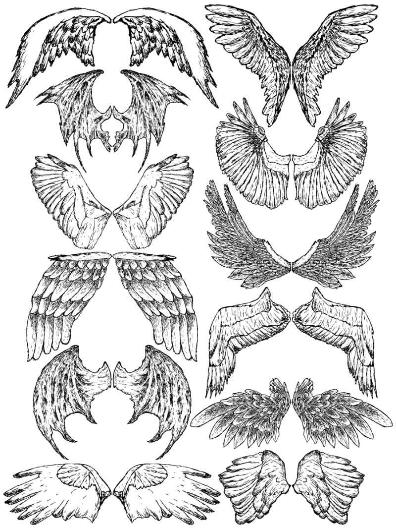 Hand Drawn Wings Vector and Photoshop Brush Pack-04