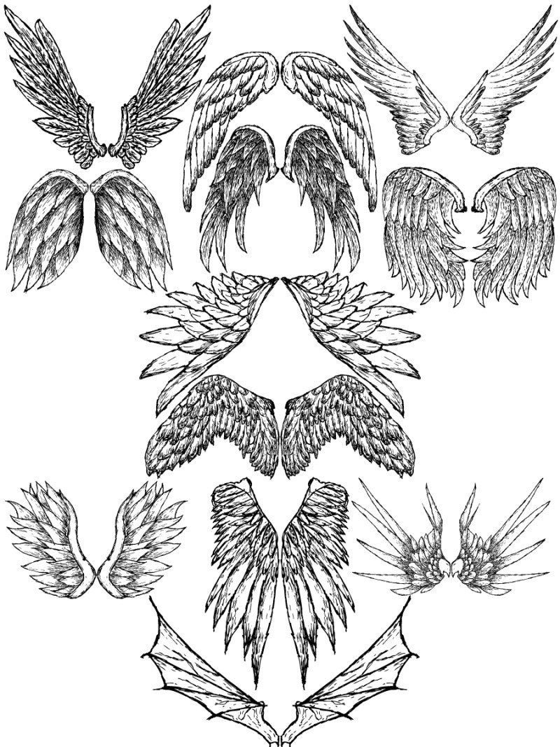 Angel Wing Collection