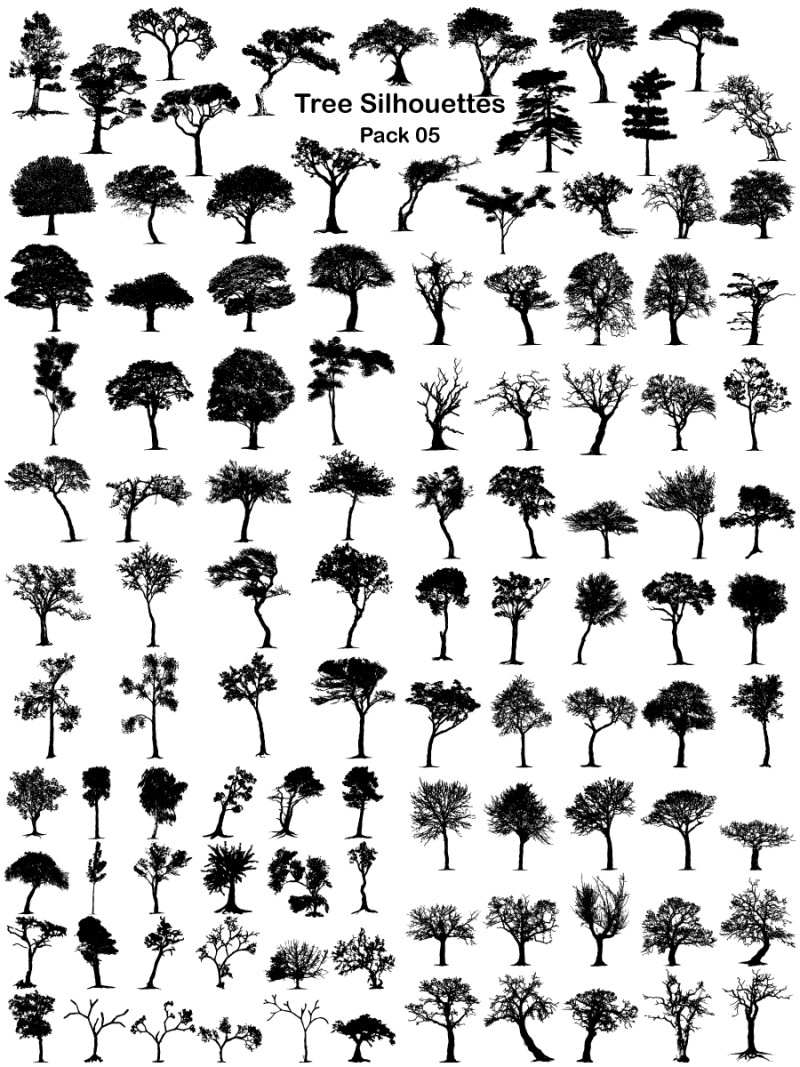 25 Best Tree Silhouette Images set (Free and Premium)