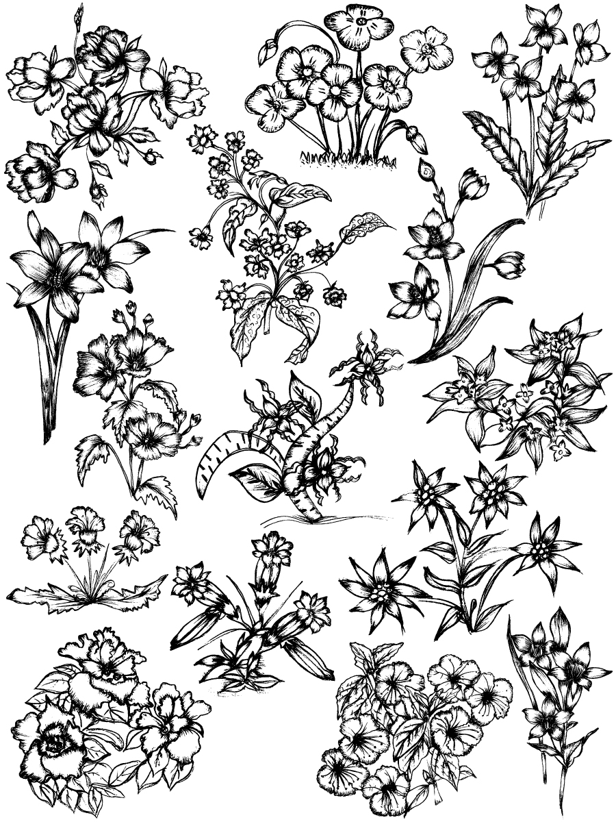 Flowers Background, Hand-drawn Sketch Flowers Vector, and Photoshop ...