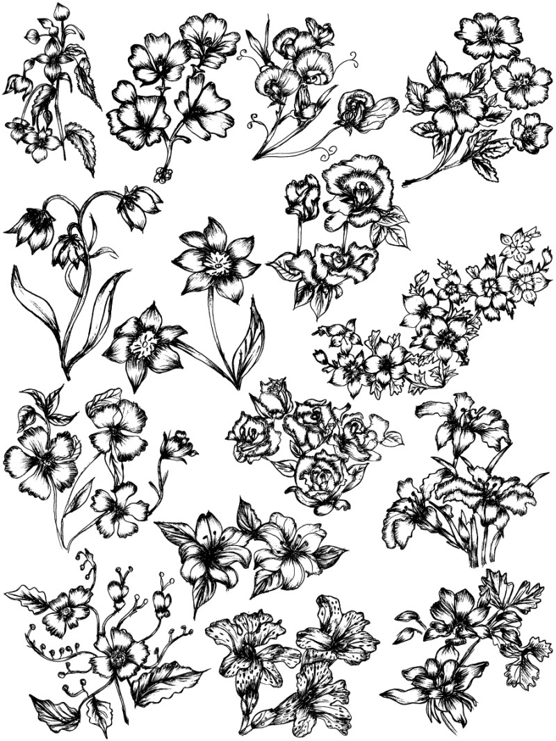 Floral Sketches Collection