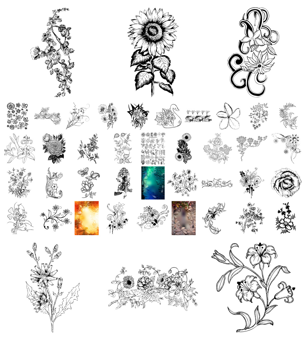Floral Fantasy – A Flourishing Collection of Hand-Drawn Flower Vectors