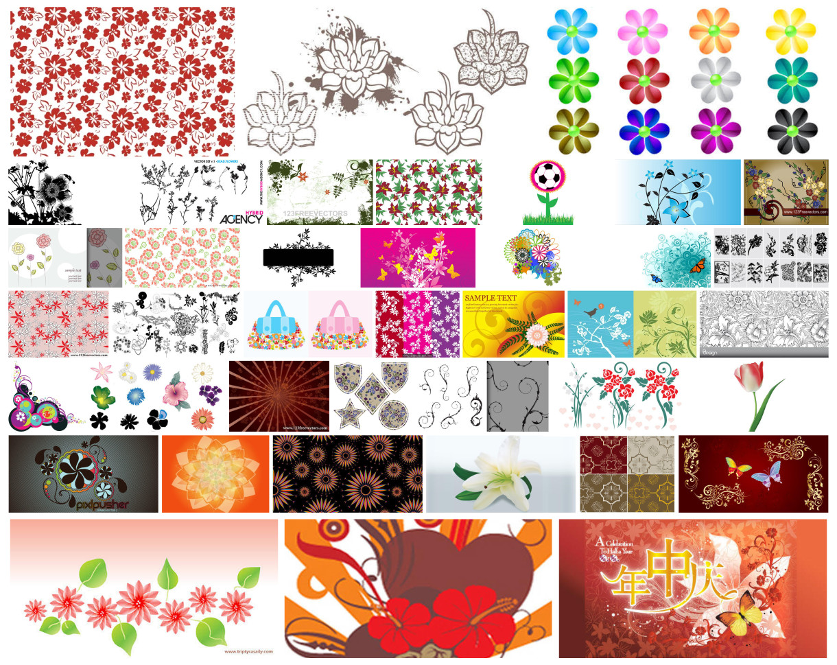 Exquisite Floral Designs: An Artistic Vector Collection