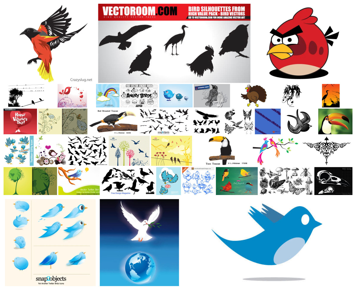 Creative Compilation of Enchanting Bird Vector Designs