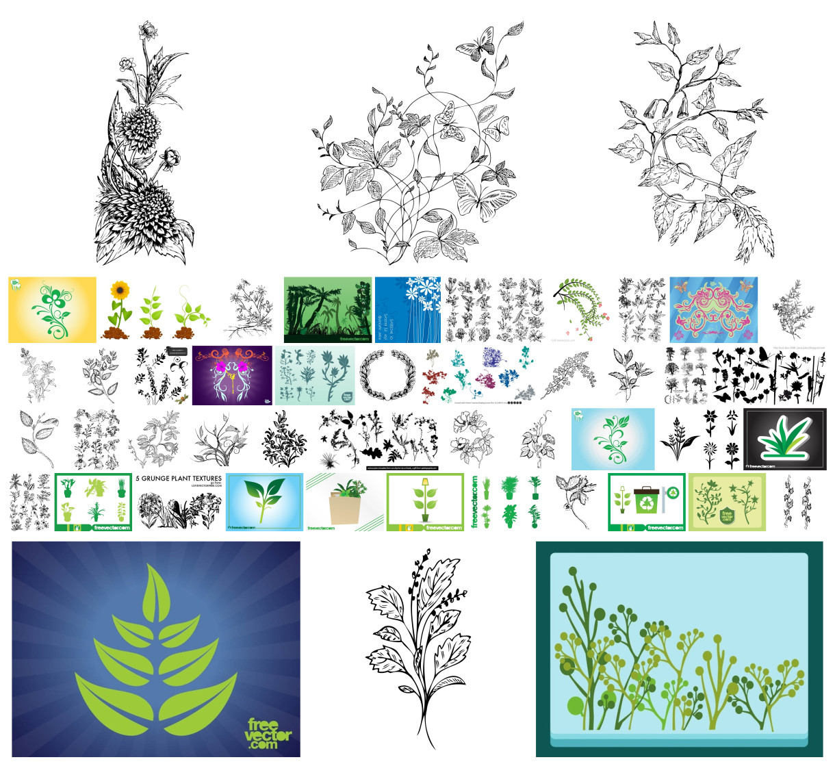 Innovative Compilation of Plant Vector Designs