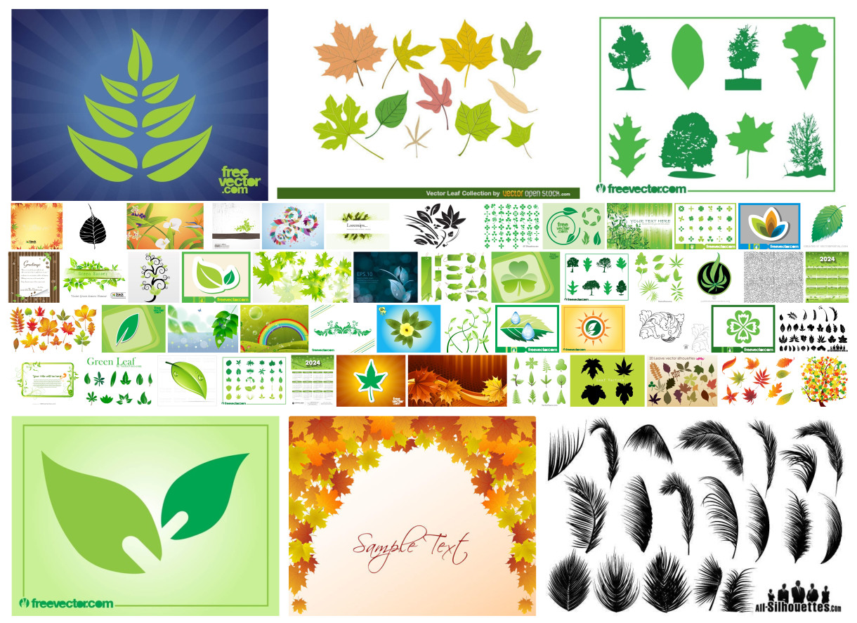 Unleashing Creativity with Our 50+ Leaf Vector Collection