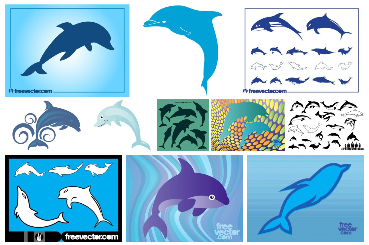 Amazing Collection of Dolphin Vector Designs