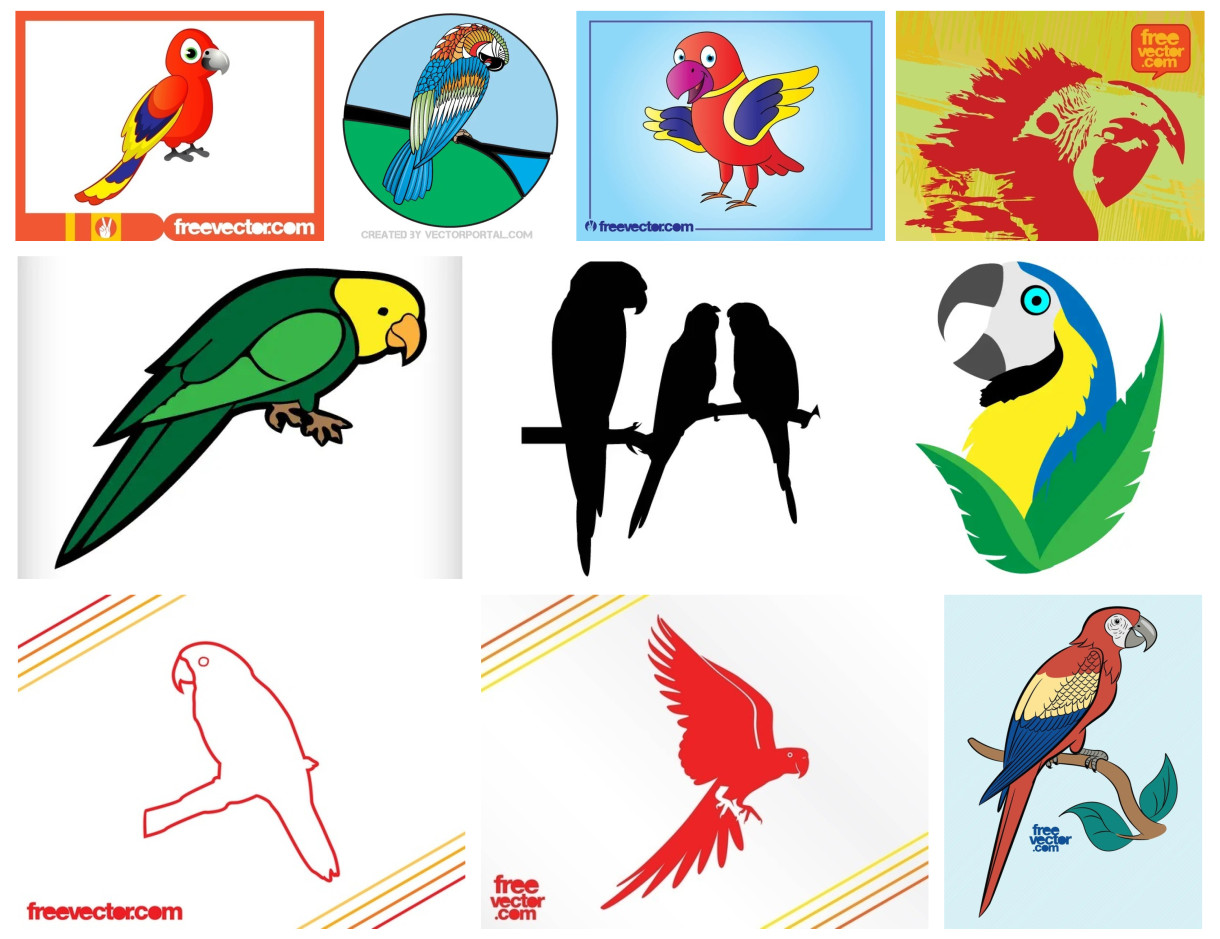 Adorable Array of Parrot Vector Art Collection