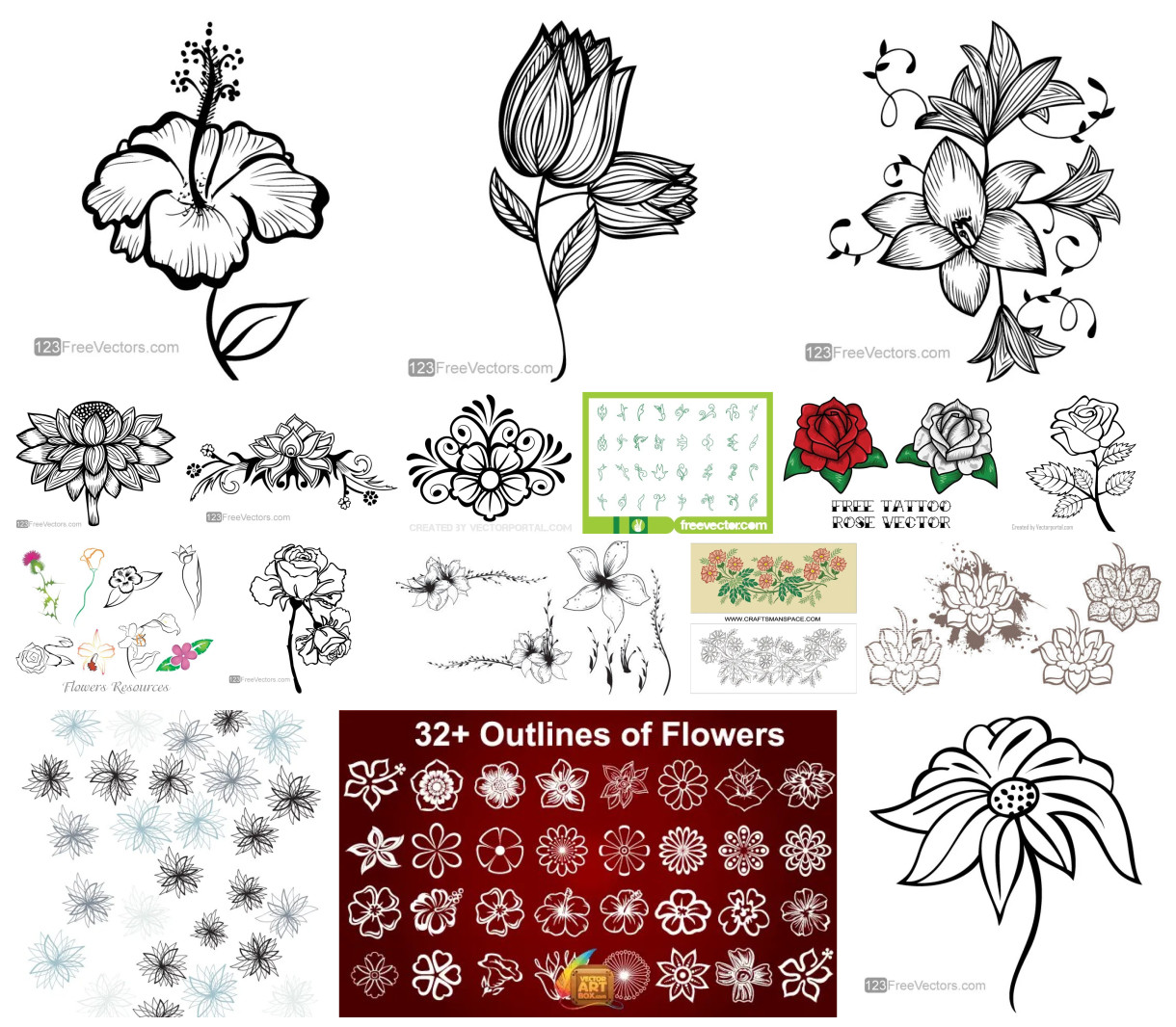 17 Free Flower Outline Vector Designs: Crafting Beauty in Every Line