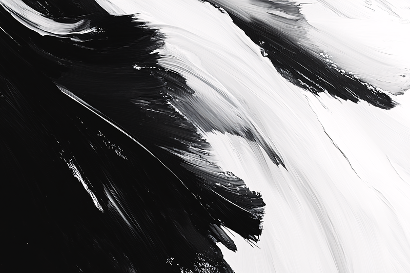 Abstract Black And White Brushstrokes