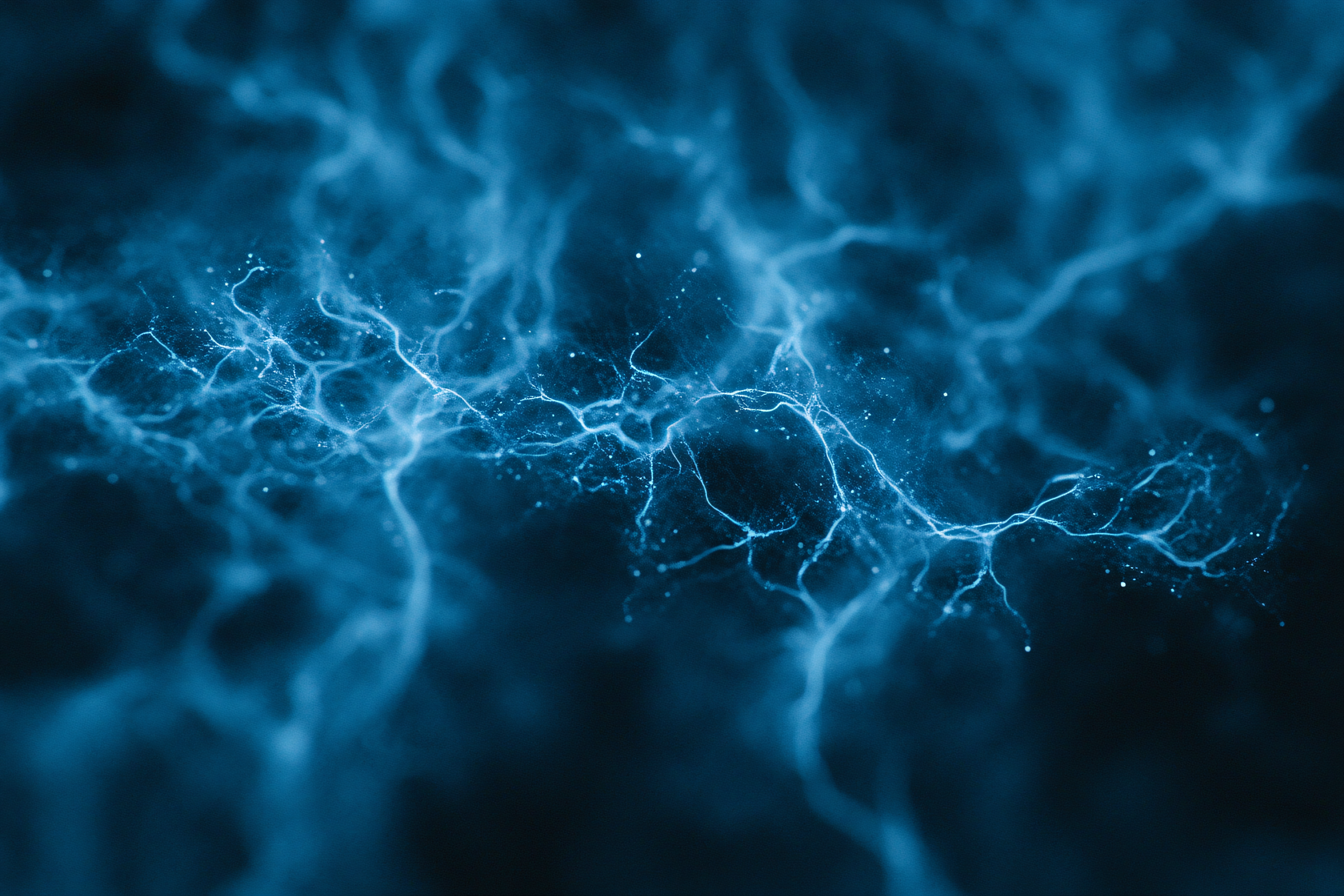 Abstract Neural Network