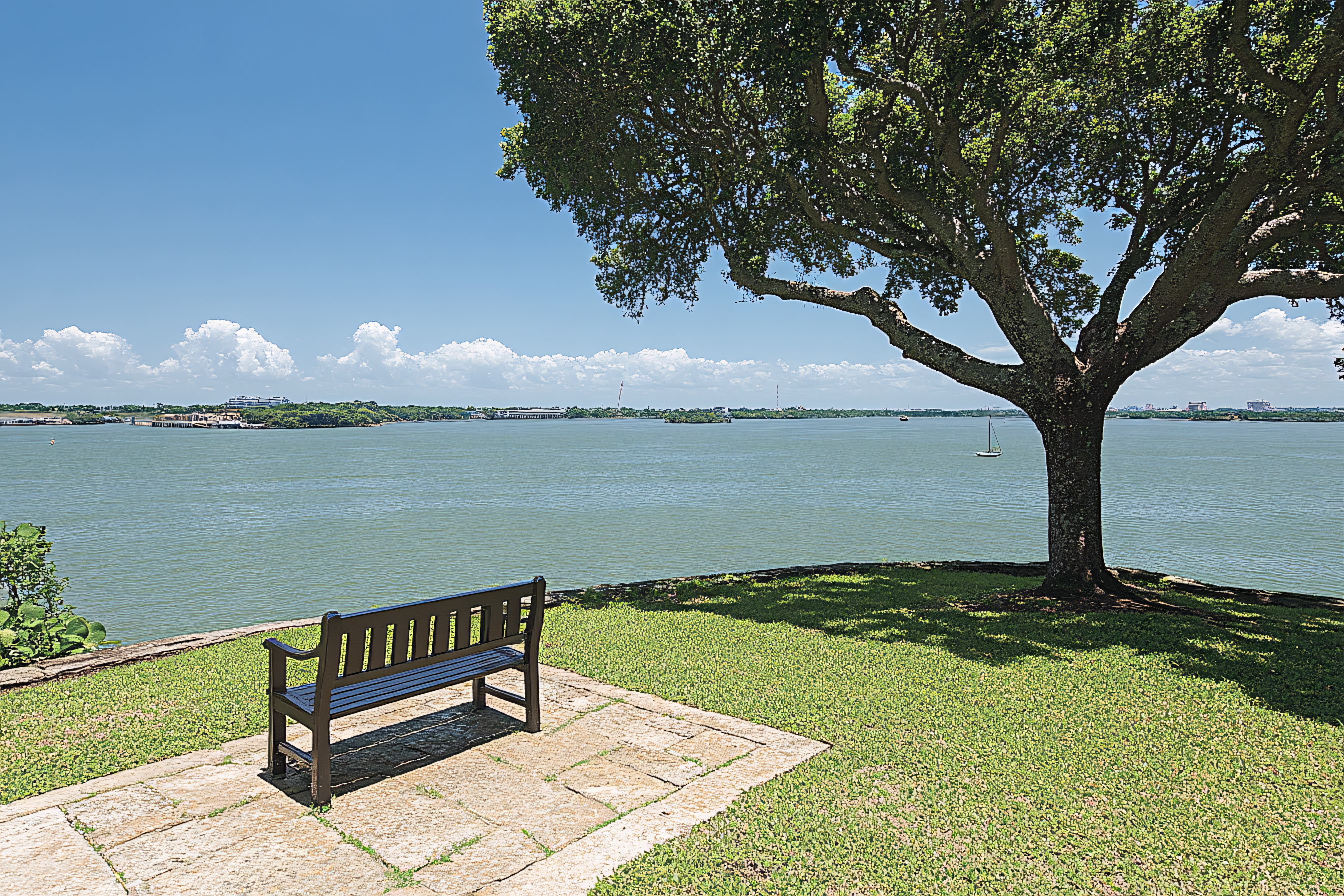 Bench by the Bay