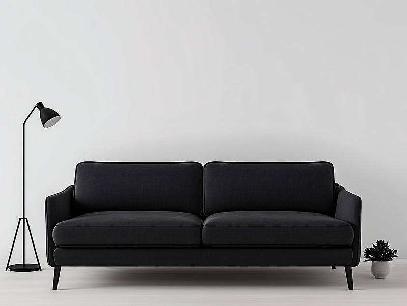 Black Sofa with Floor Lamp
