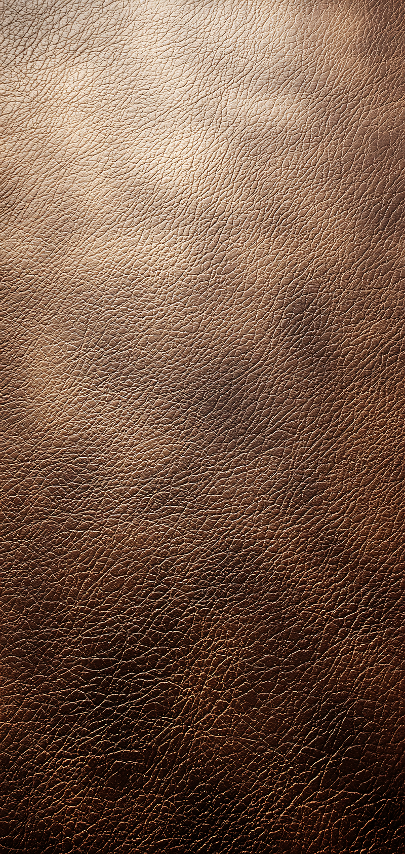 Embossed Leather Texture