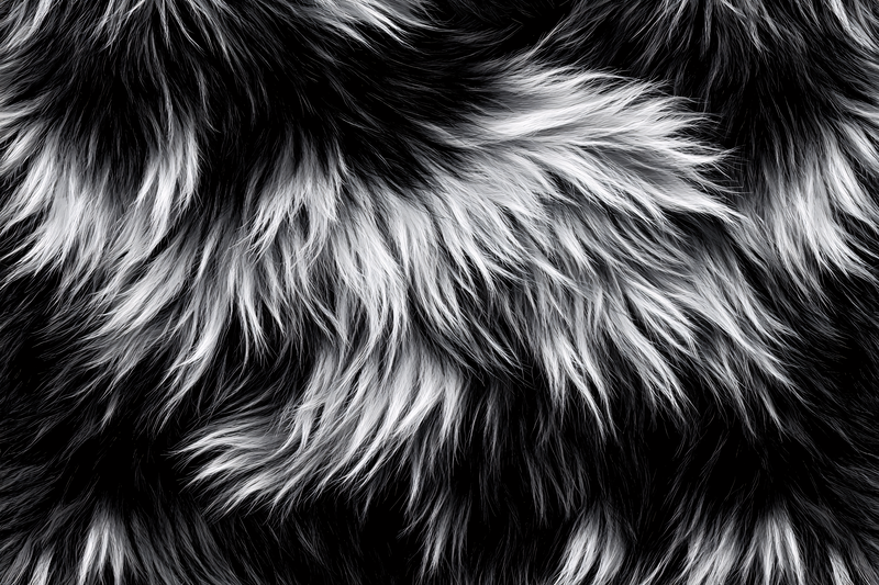 Fluffy Fur Texture