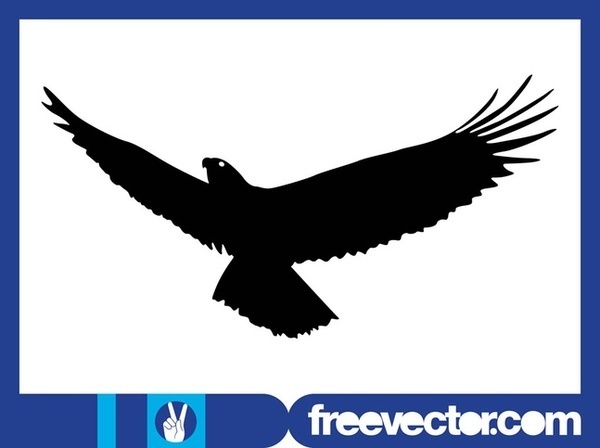 Flying Eagle Silhouette Free Vector