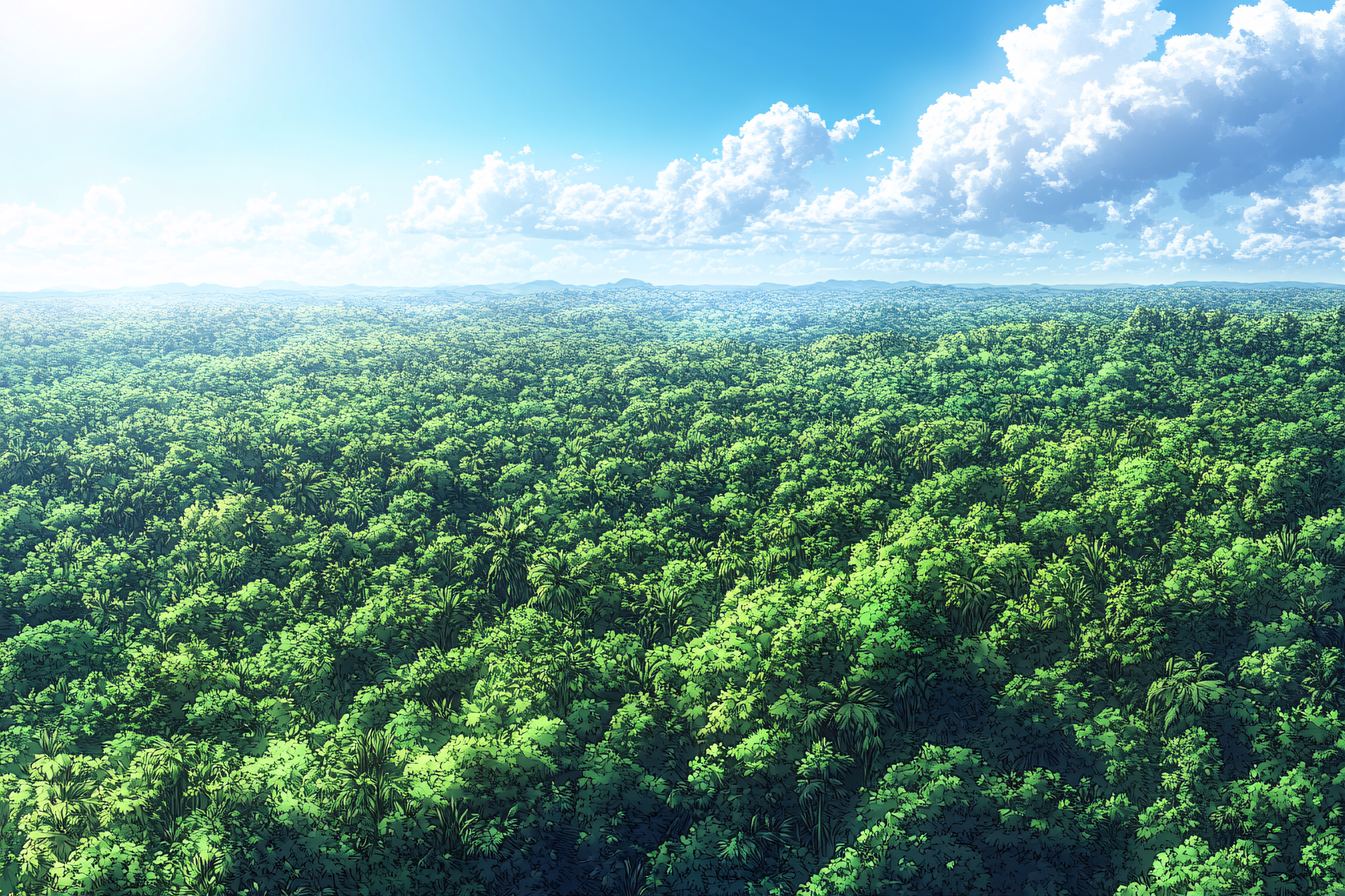 Forest Aerial View