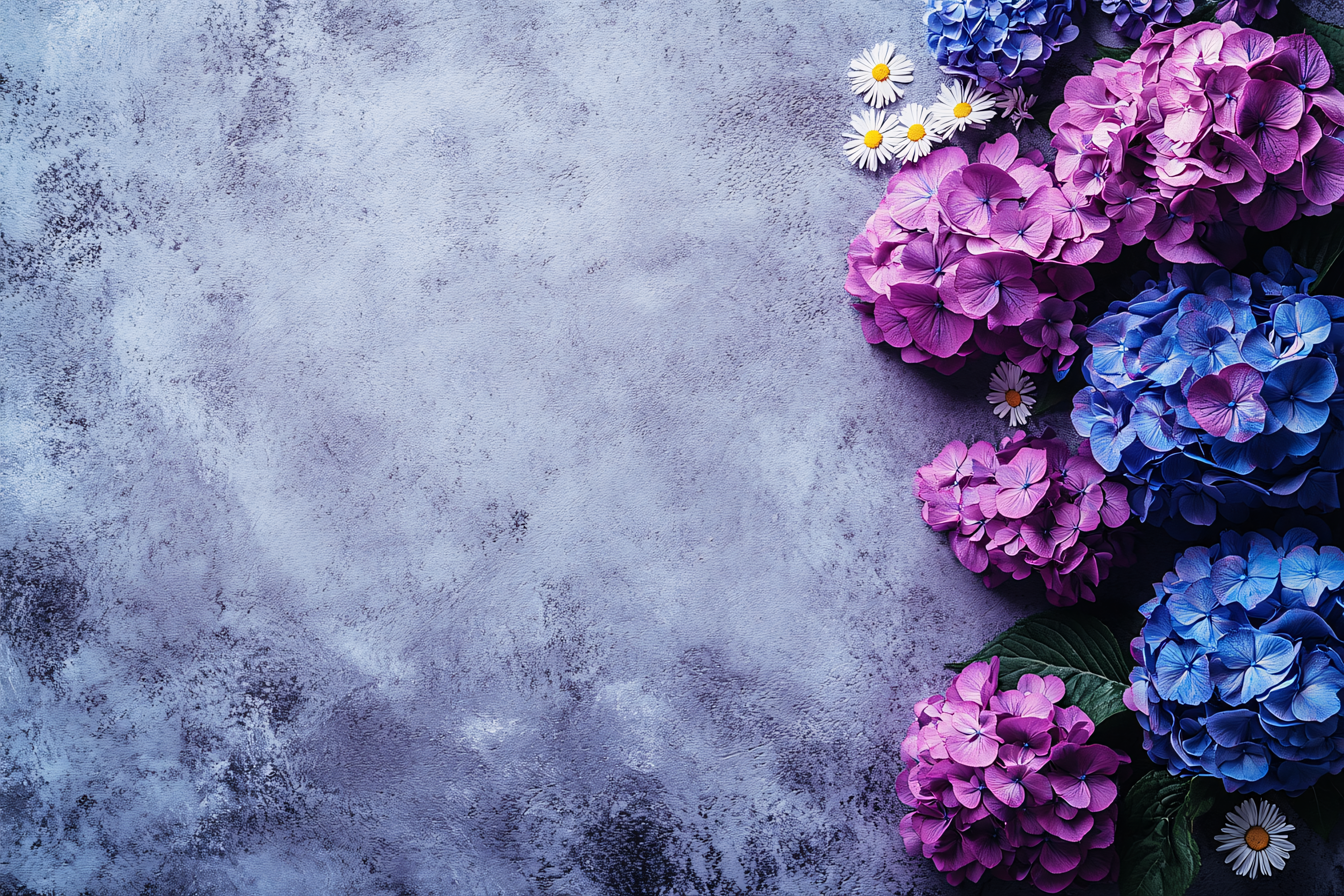 Hydrangeas and Daisies on Textured Background