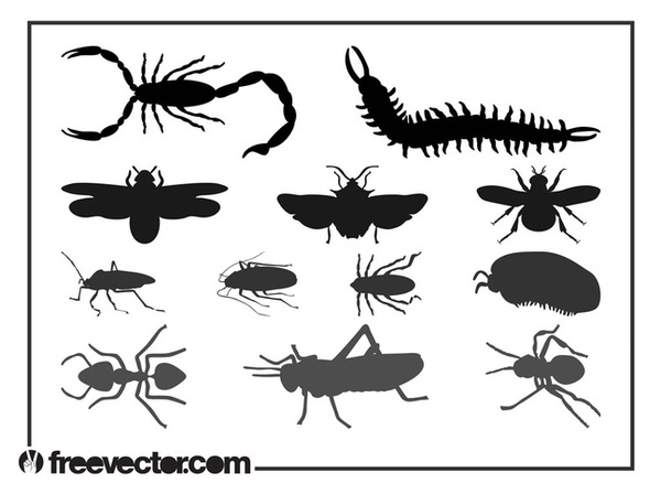 Insect Silhouettes Set Free Vector