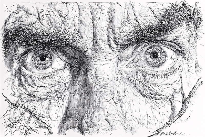 Intense Gaze Ink Drawing