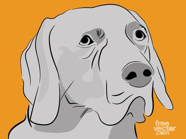 Labrador Retriever Free Vector