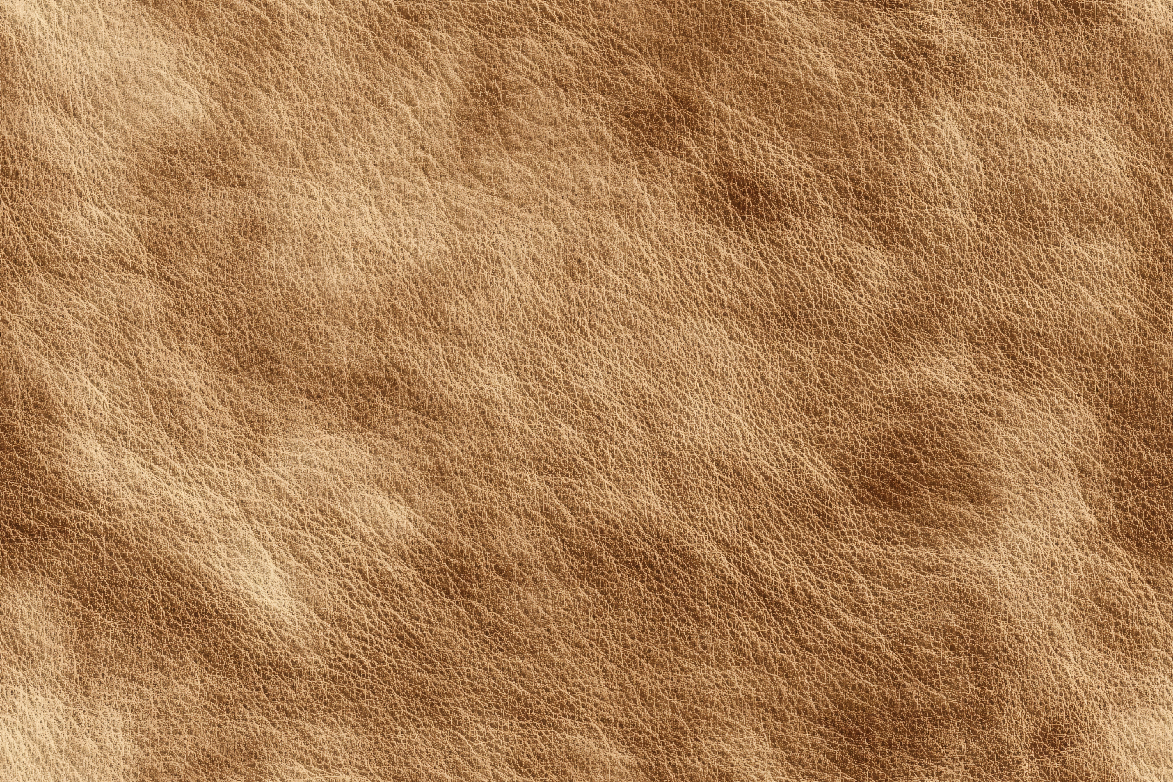 Leather Texture