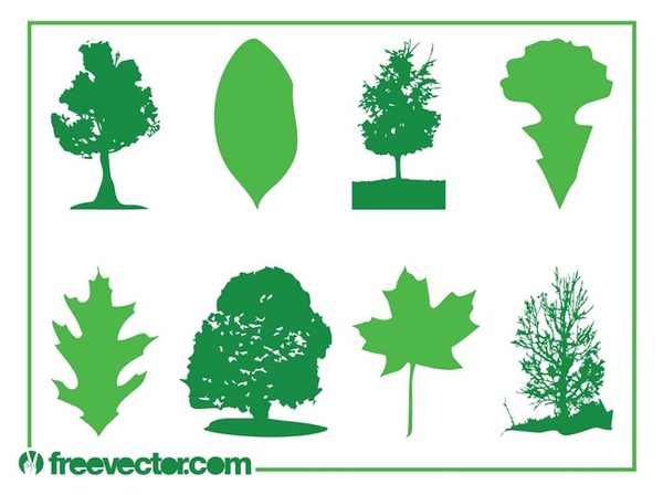An Exceptional Array of Eco-green Leaf Vector Designs and Calendars