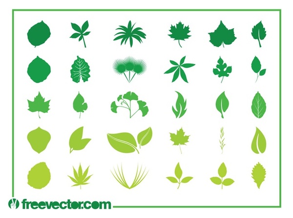 An Exceptional Array of Eco-green Leaf Vector Designs and Calendars