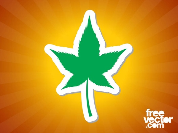 An Exceptional Array of Eco-green Leaf Vector Designs and Calendars