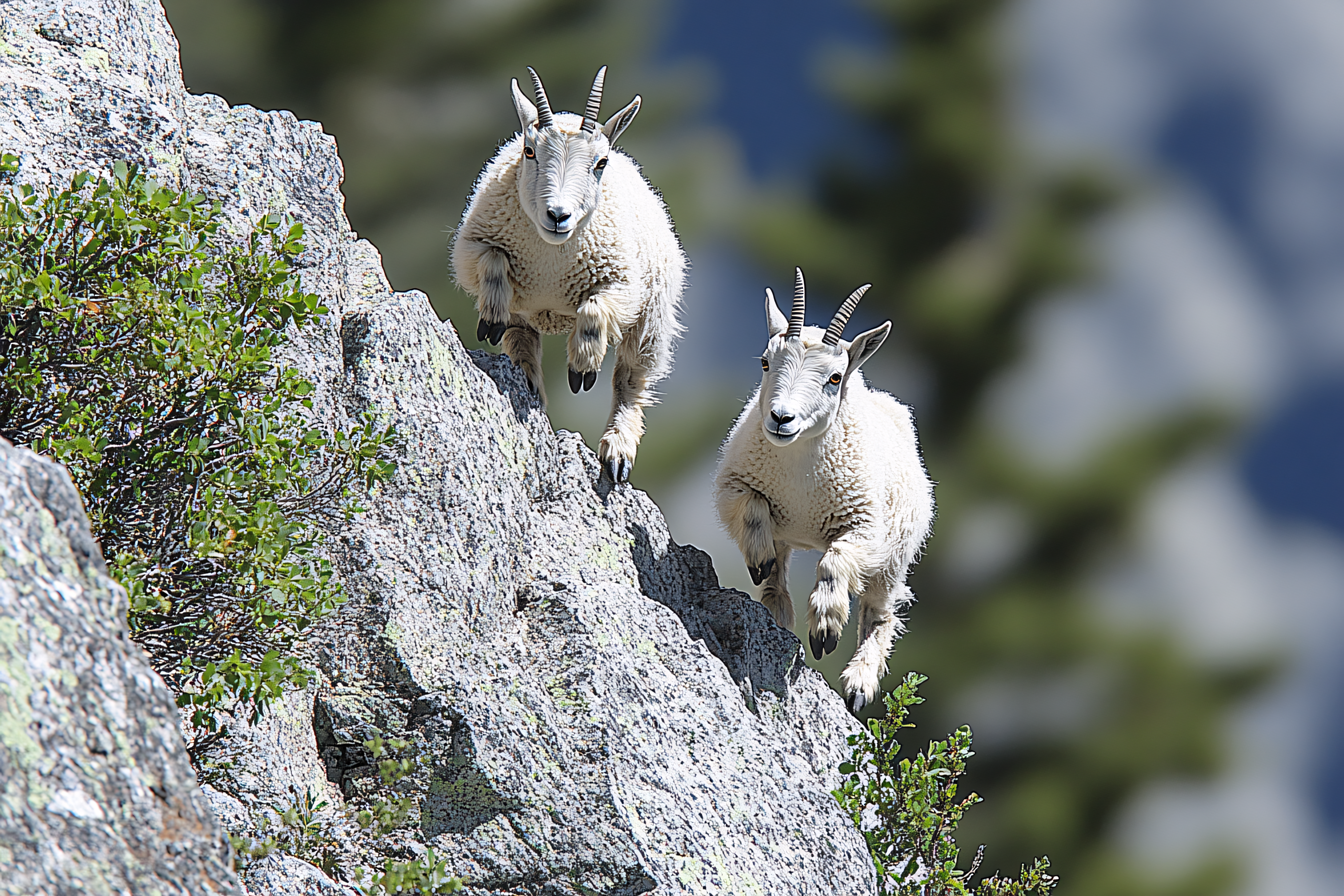 Mountain Goats Leaping on Rocky Terrain