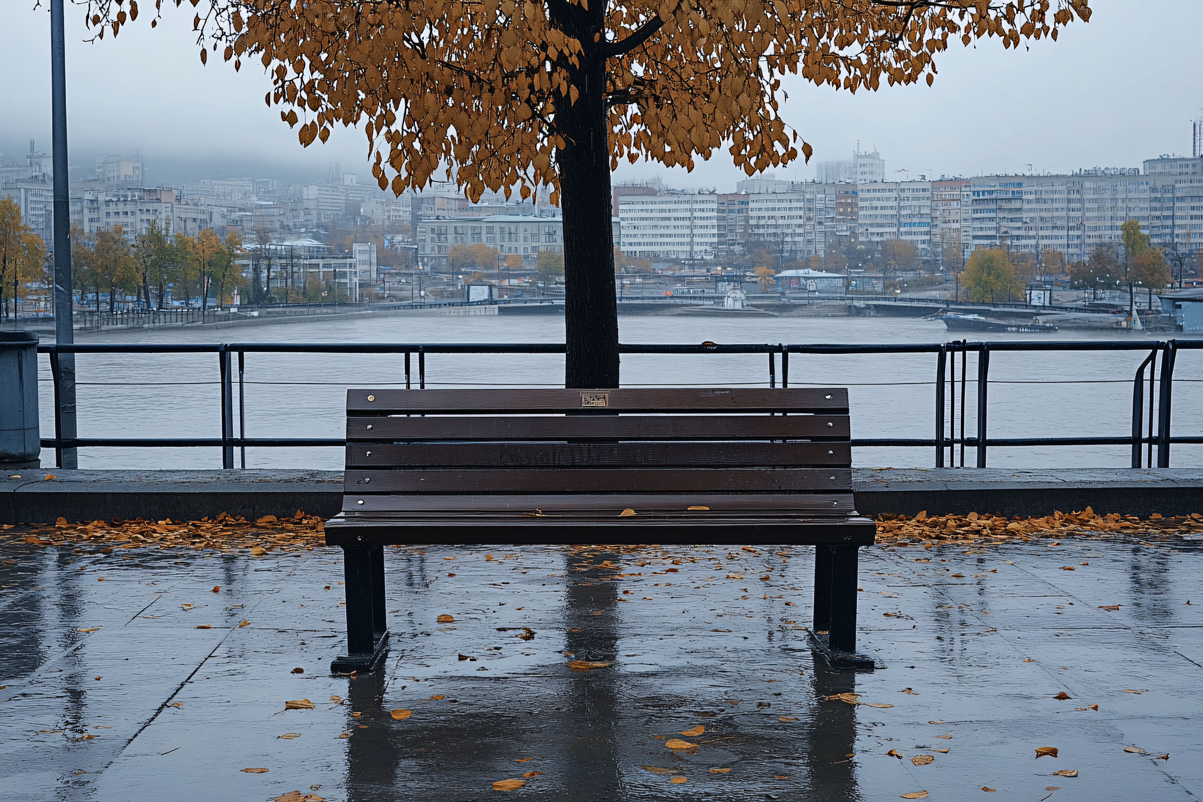 Rainy Autumn Day Bench View