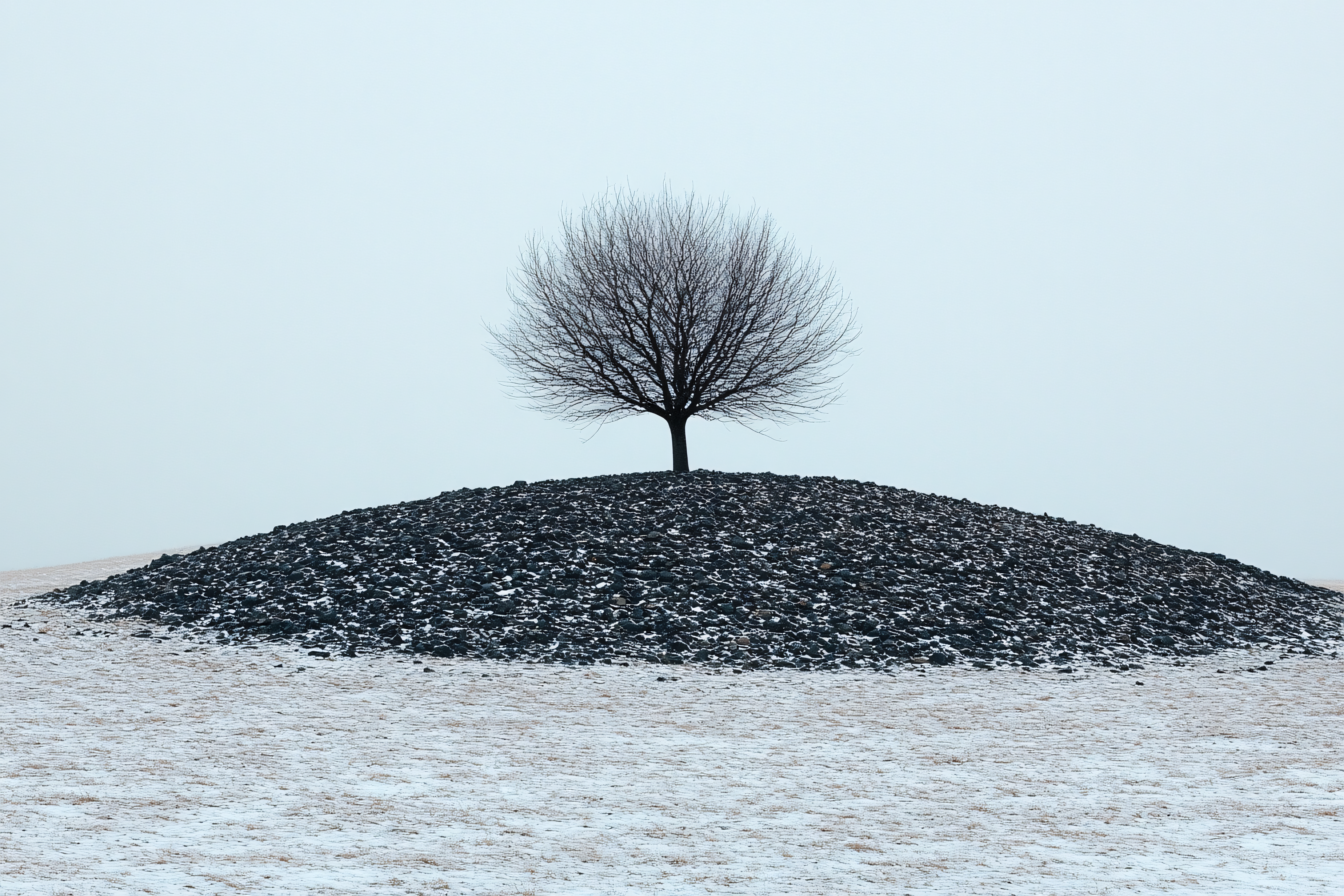 Solitary Tree on Rocky Knoll