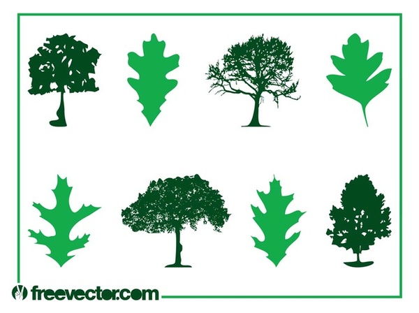 An Exceptional Array of Eco-green Leaf Vector Designs and Calendars