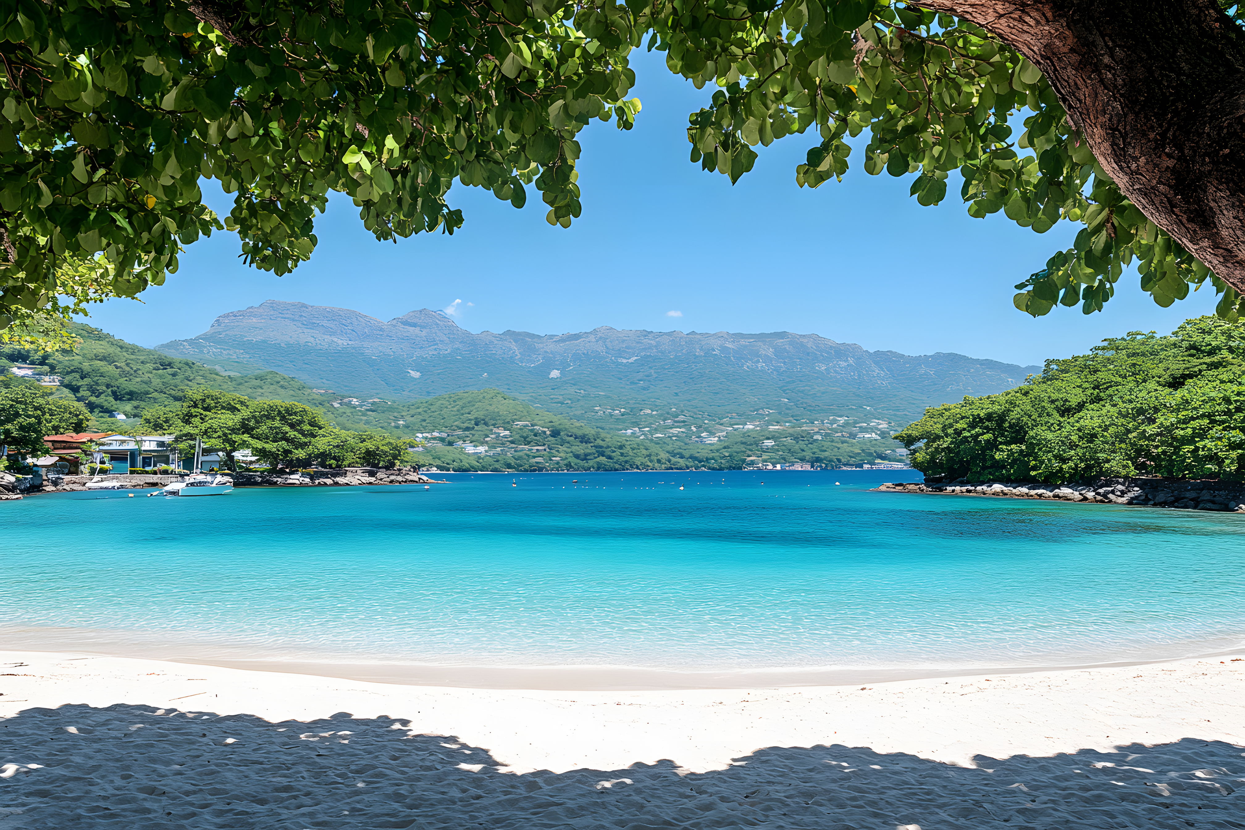 Tropical Beach Paradise