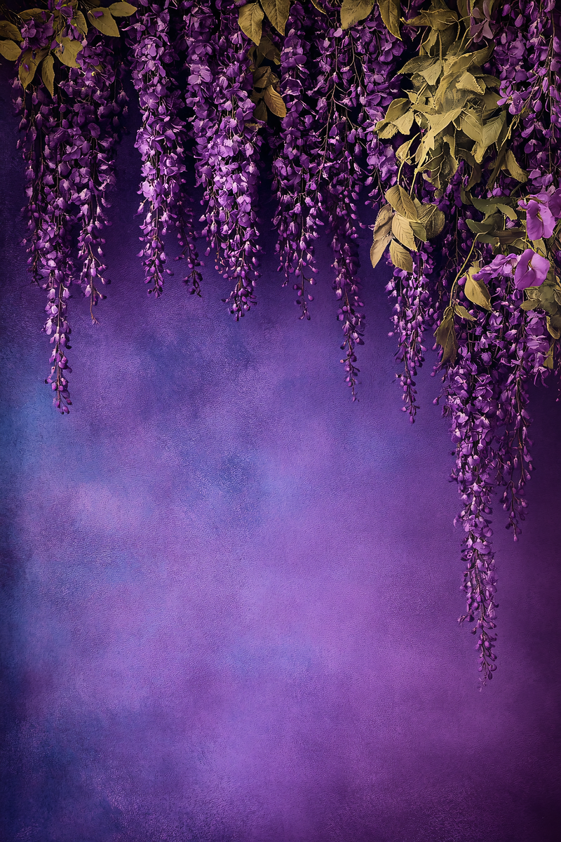 Wisteria in Bloom
