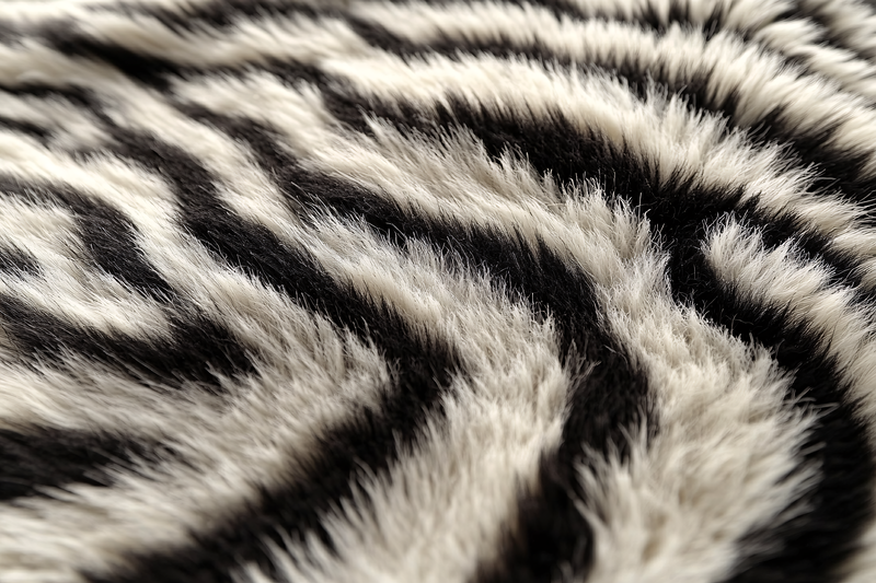 Zebra Pattern Fur Texture