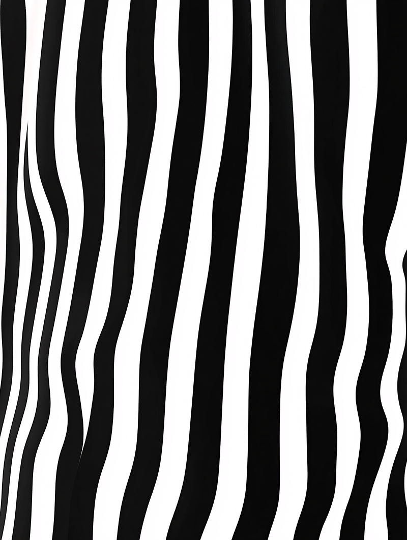 Zebra Stripes Pattern