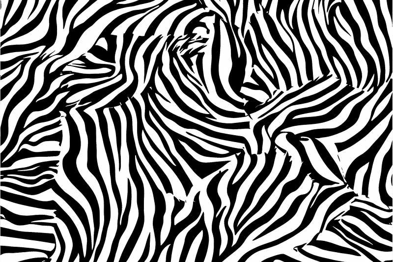 Zebra Stripes Pattern