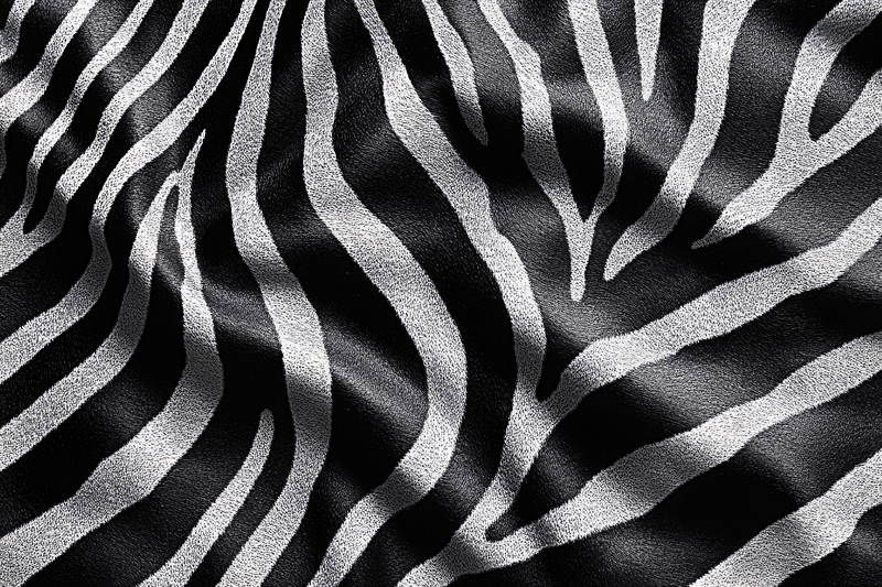 Zebra Stripes Pattern