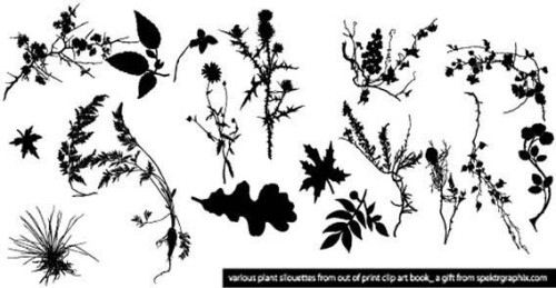 Plant Silhouettes Clip Art