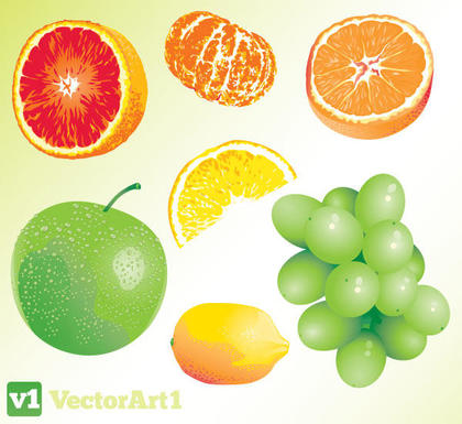 Vector Fruit Free Download