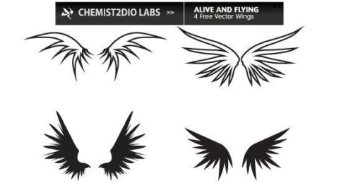 Wings Free Vector