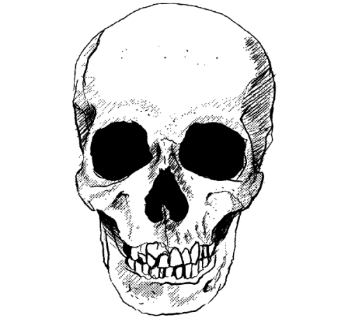 Vector Skull Free