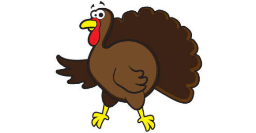 Turkey bird vector