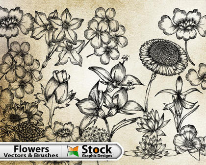 Hand Drawn Flowers Free Vector Pack