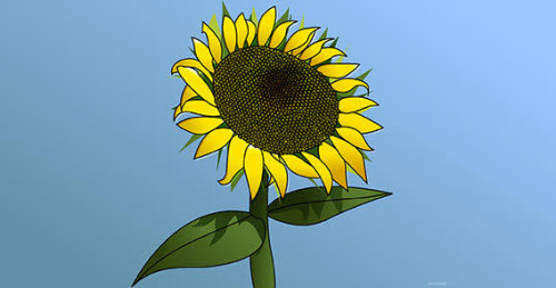 Sunflower Girasol Vector