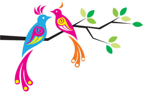 Colorful Birds