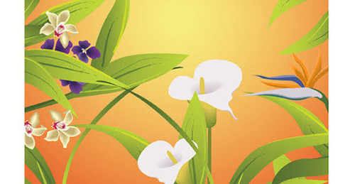 Leaves Illustrator Symbols
