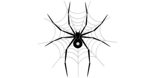 Spider web vector art